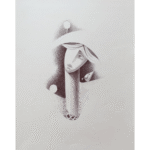 The Silent Observer