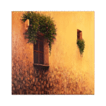 The Golden Windows
